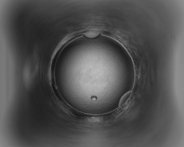 X0000100480102200806131238