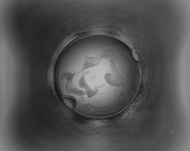 X0000100480103200806131238