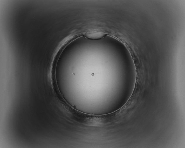 X0000100480104200806131238