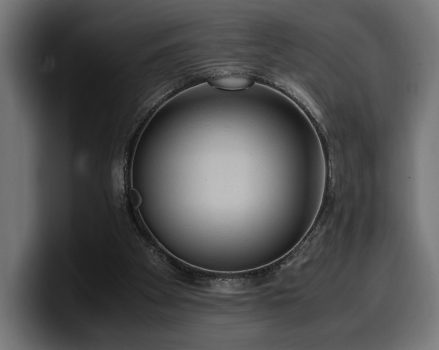 X0000100480105200806131238