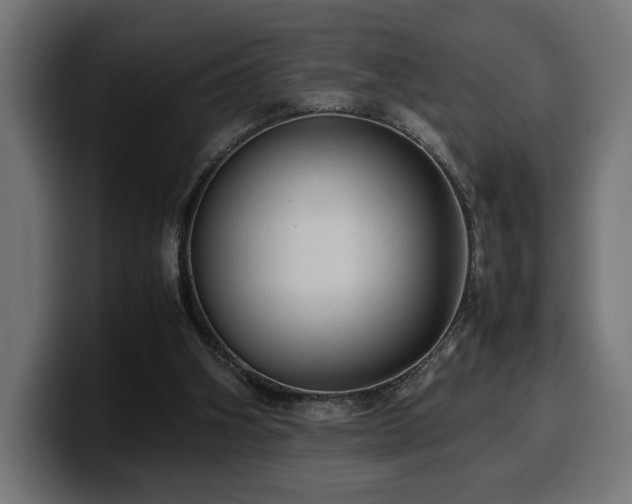 X0000100480106200806131238