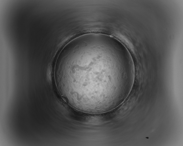 X0000100480107200806131238