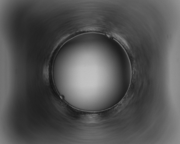 X0000100480108200806131238