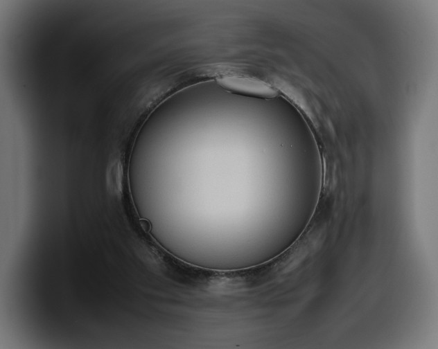 X0000100480109200806131238