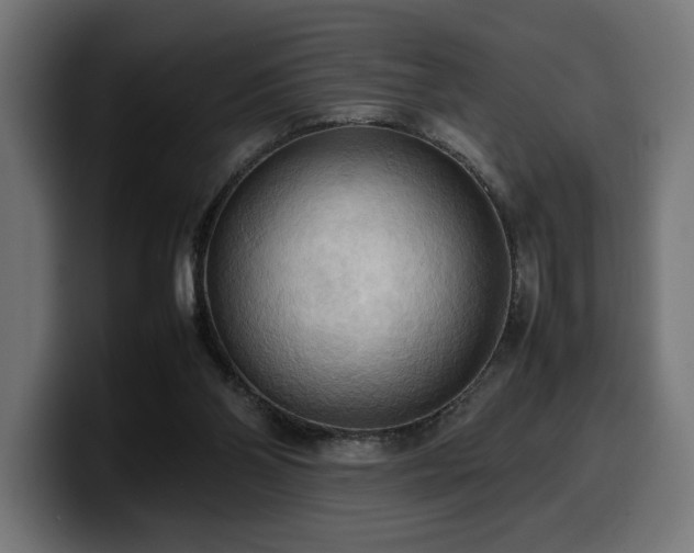 X0000100480110200806131238