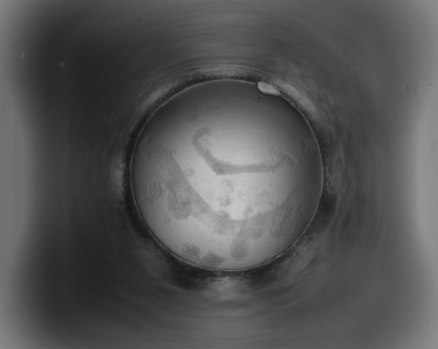 X0000100480111200806131238