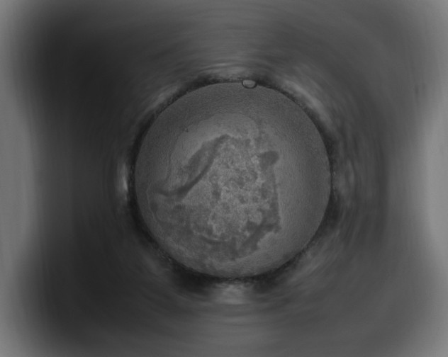 X0000100480115200806131238