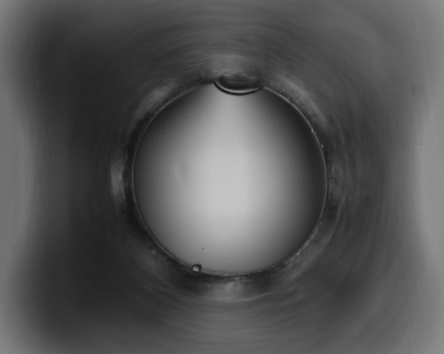 X0000100480116200806131238