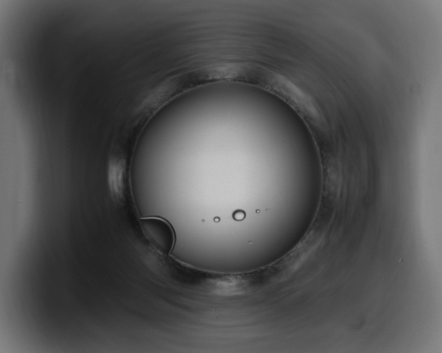 X0000100480118200806131238