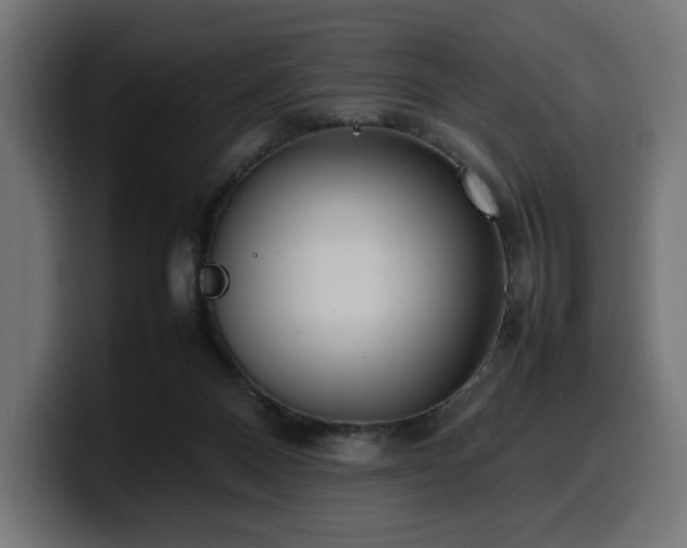 X0000100480120200806131238