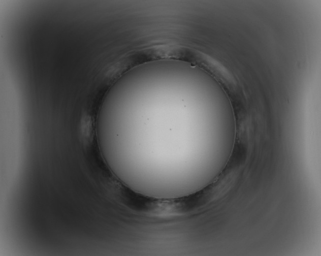 X0000100480121200806131238