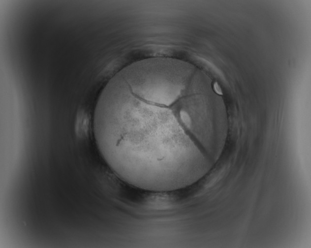 X0000100480123200806131238
