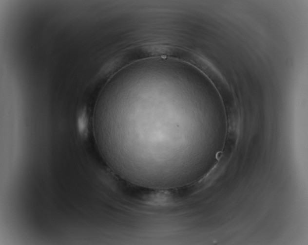 X0000100480124200806131238