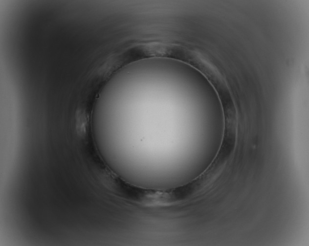 X0000100480125200806131238