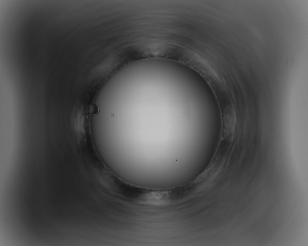 X0000100480126200806131238