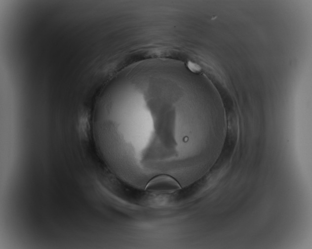 X0000100480127200806131238