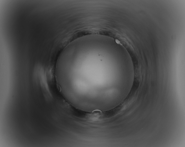 X0000100480131200806131237