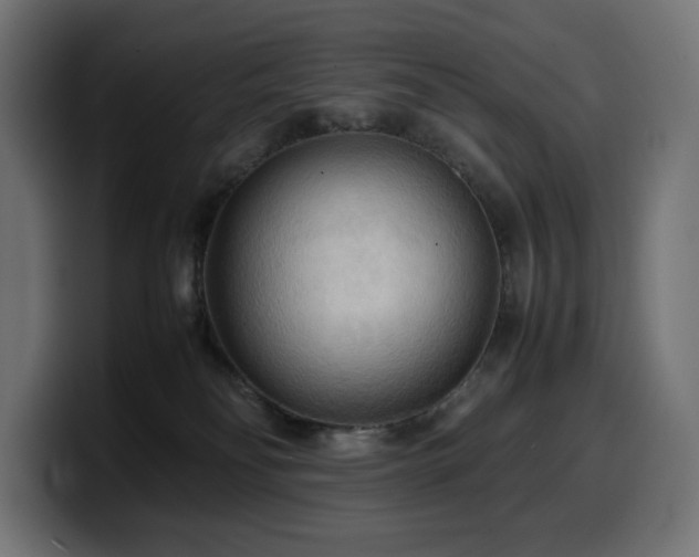 X0000100480134200806131237