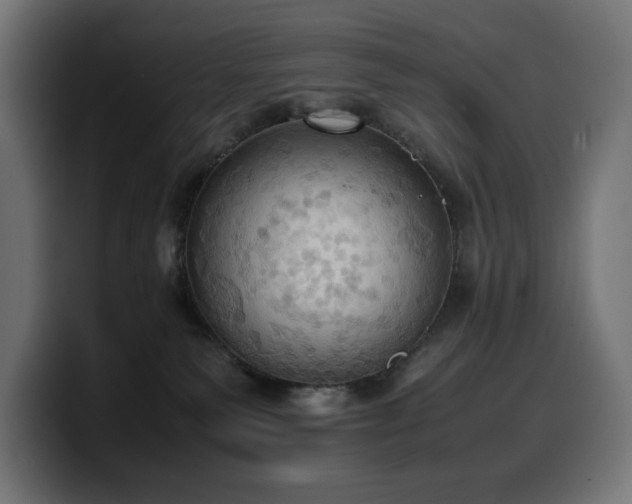 X0000100480135200806131237