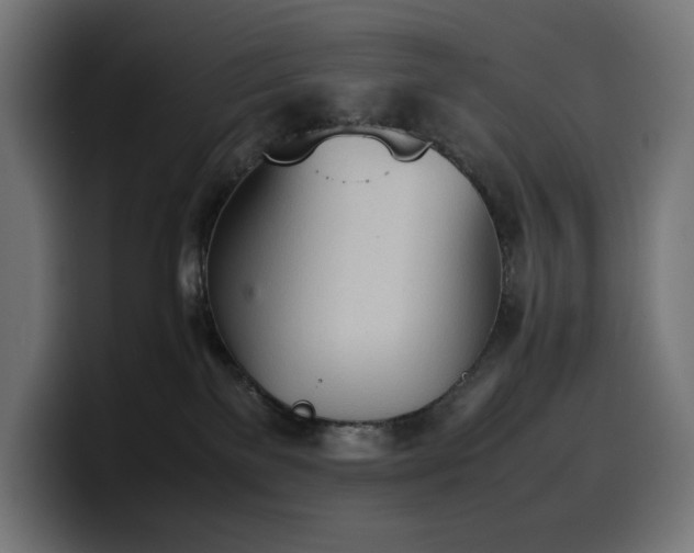 X0000100480137200806131237