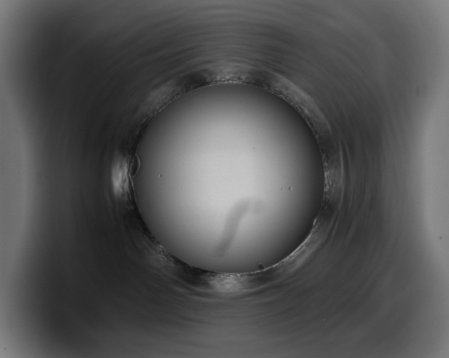 X0000100480142200806131237