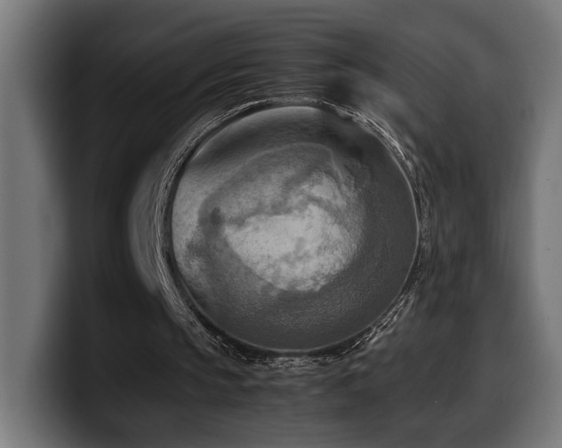 X0000100480145200806131237