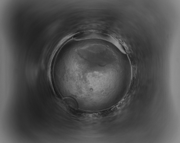X0000100480147200806131237