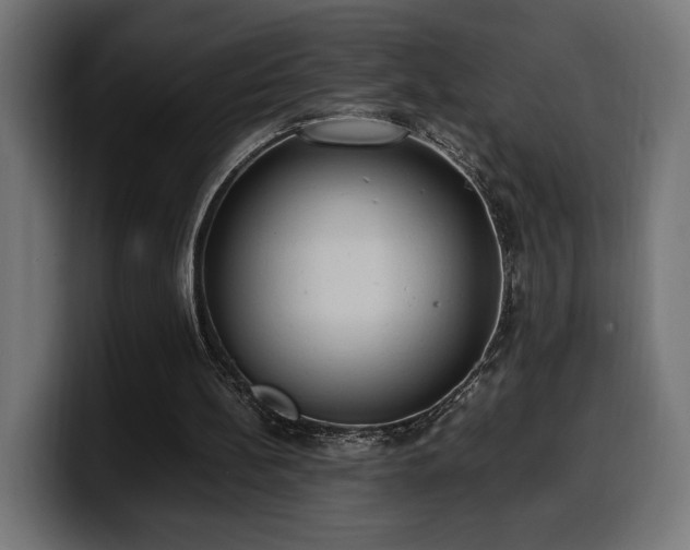 X0000100480148200806131237