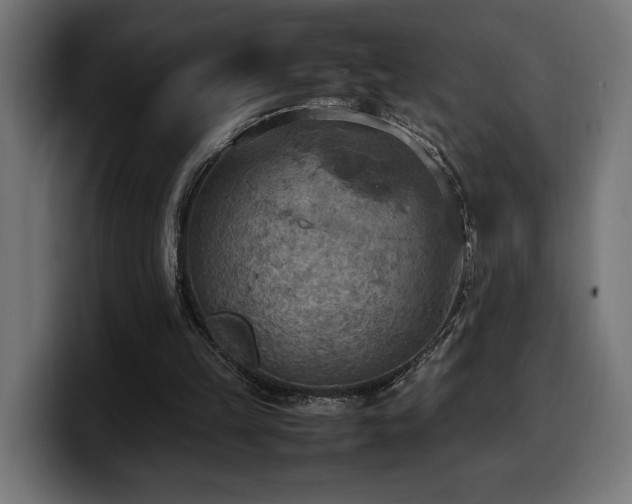 X0000100480149200806131237