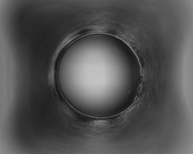 X0000100480150200806131237