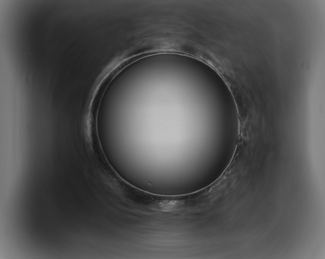 X0000100480152200806131237