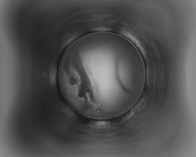 X0000100480153200806131237