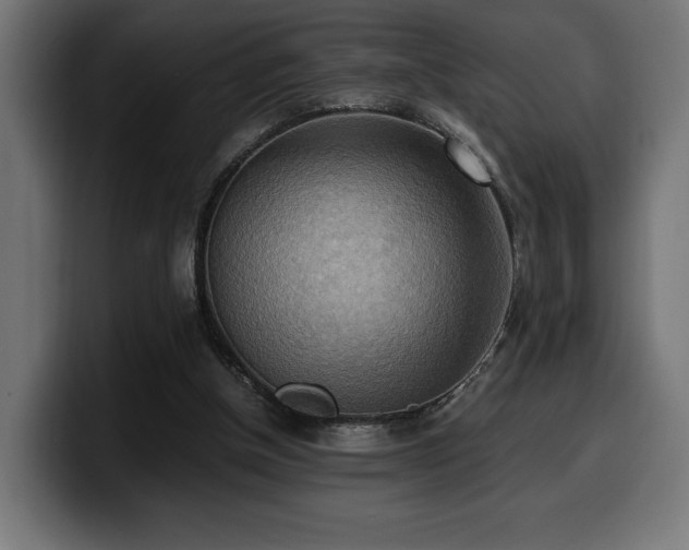 X0000100480154200806131237