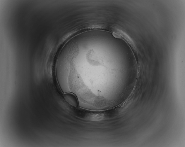 X0000100480155200806131237