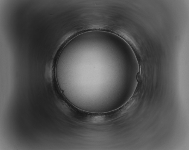 X0000100480156200806131237