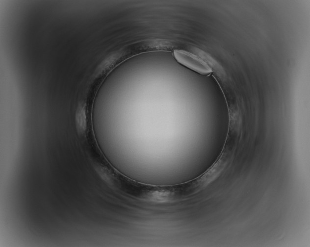 X0000100480158200806131237