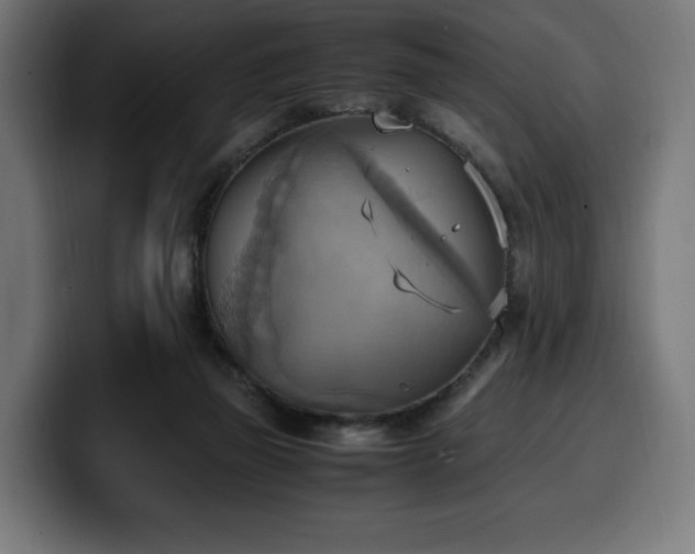 X0000100480165200806131237