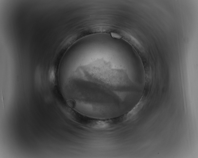 X0000100480166200806131237