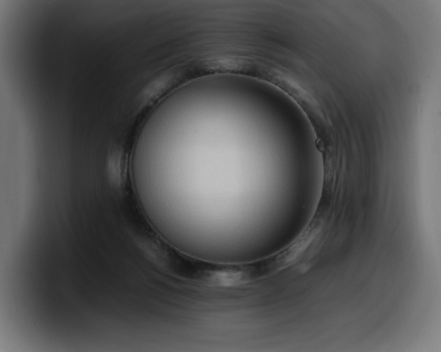 X0000100480168200806131237