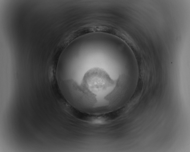 X0000100480169200806131237
