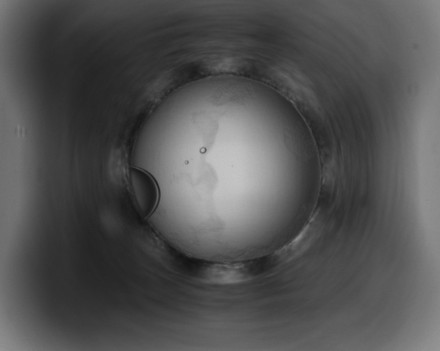 X0000100480179200806131237