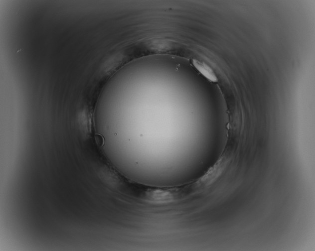 X0000100480180200806131237