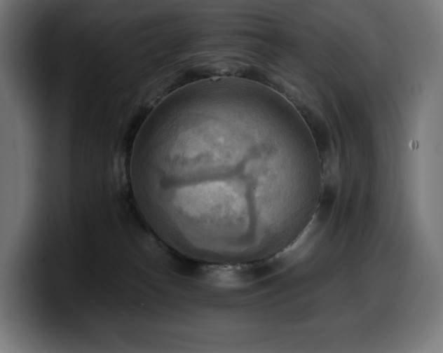X0000100480182200806131237