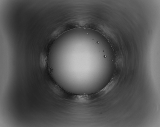 X0000100480188200806131237