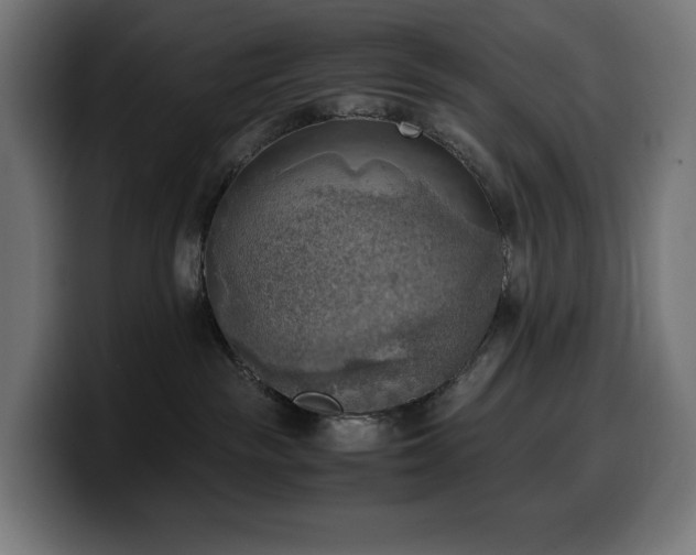 X0000100480189200806131237