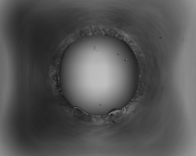 X0000100480192200806131237