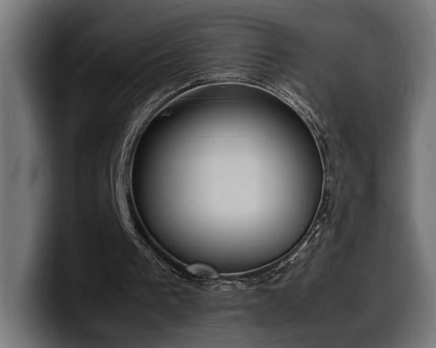 X0000100480193200806131237