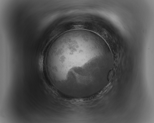 X0000100480194200806131237