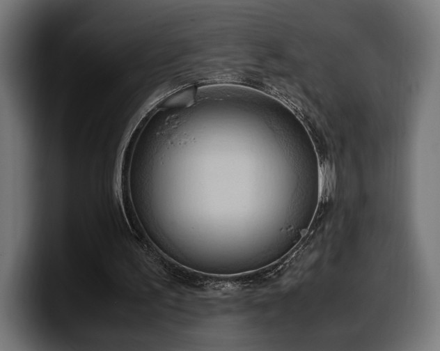 X0000100480195200806131237