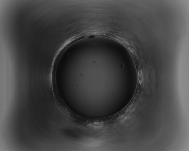 X0000100480196200806131237